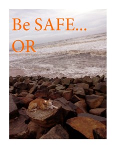 Cover page - Be SAFE or