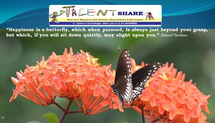 25 October 2015 - Butterfly