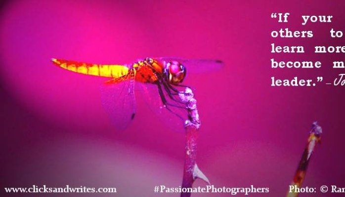 8-12-2015 - Photo Speaks - Be a Leader.jpg