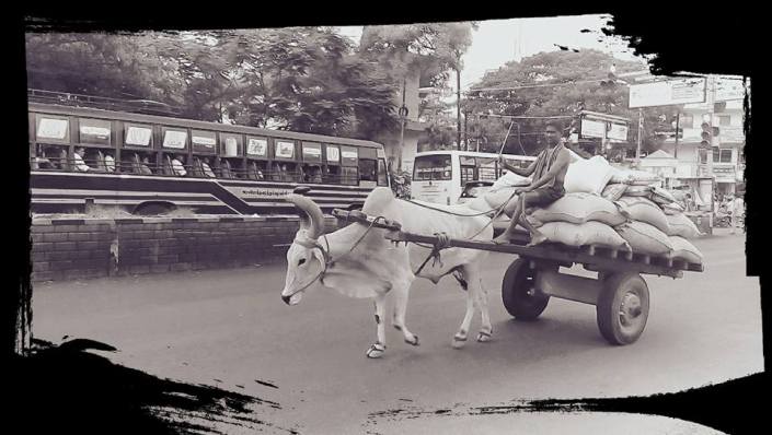 13007217_10153515014871088_4119769400074137525_n