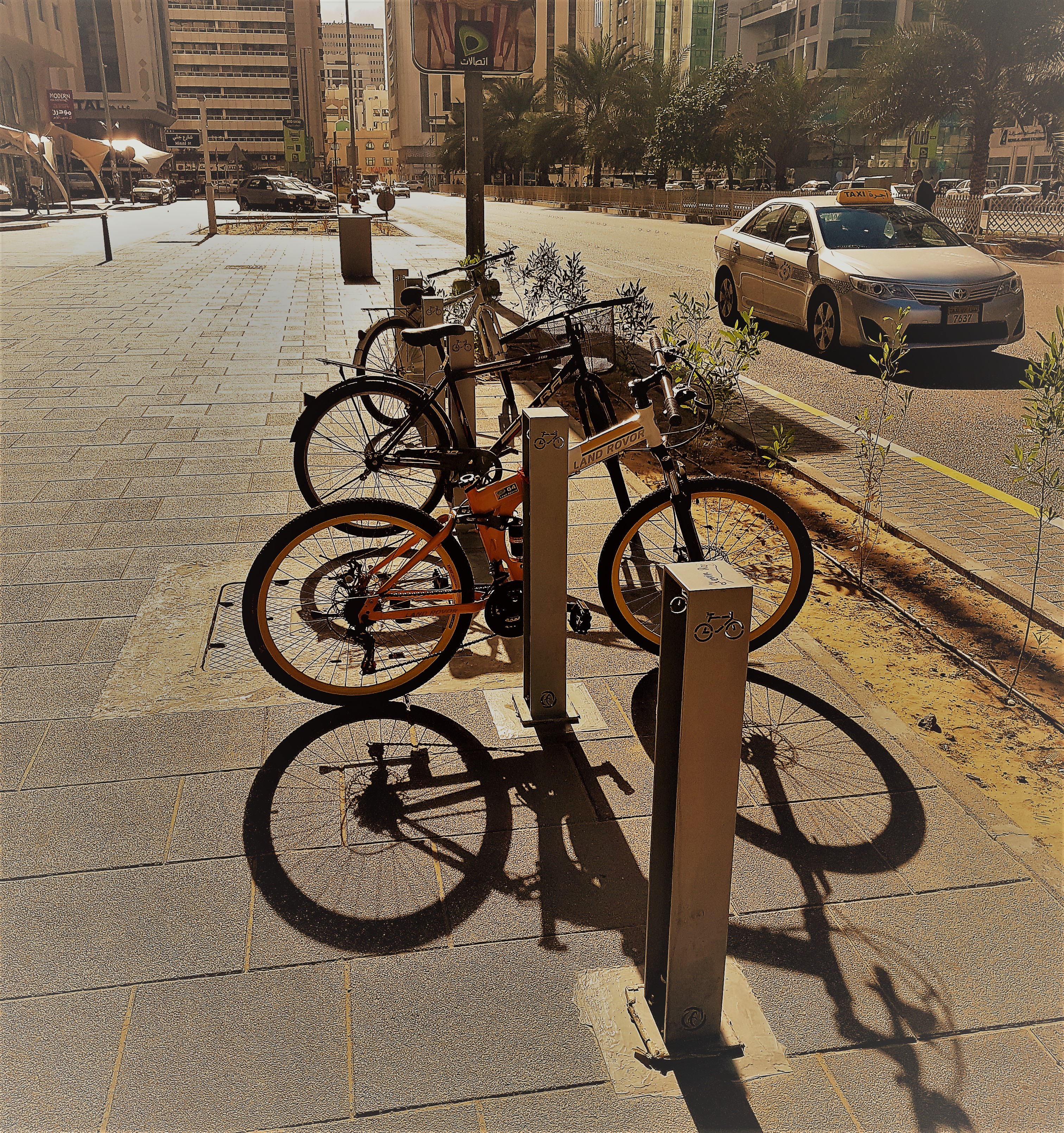 dedicated-cycling-in-abu-dhabi