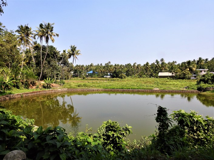 Nature photography  DSCN4633.jpg