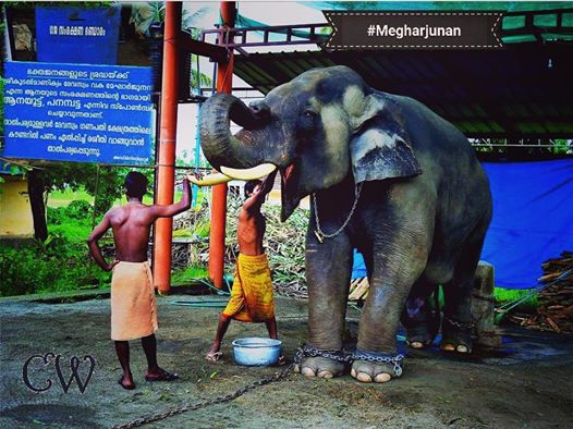 19511432_10154681348531088_8574239224968487294_n