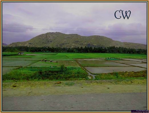 19990185_10154718931656088_5503375585968247913_n