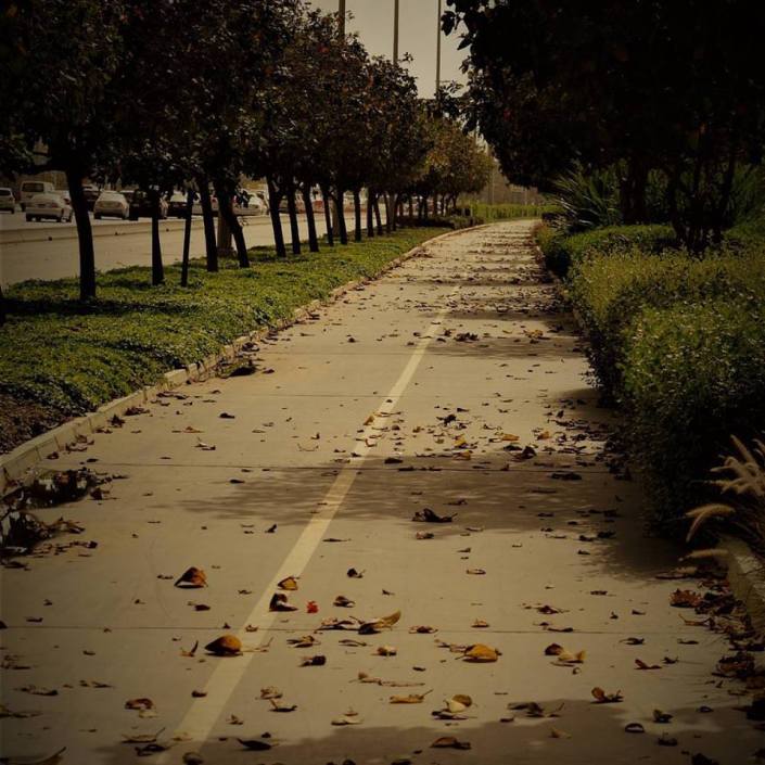 20106786_10154719026451088_7638979129726094423_n