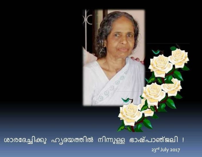 20258474_10154744878716088_4551888263230947362_n