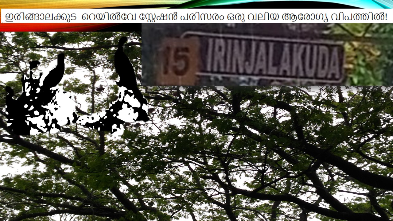 IRINJALAKUDA RAILWAY STATION.jpg