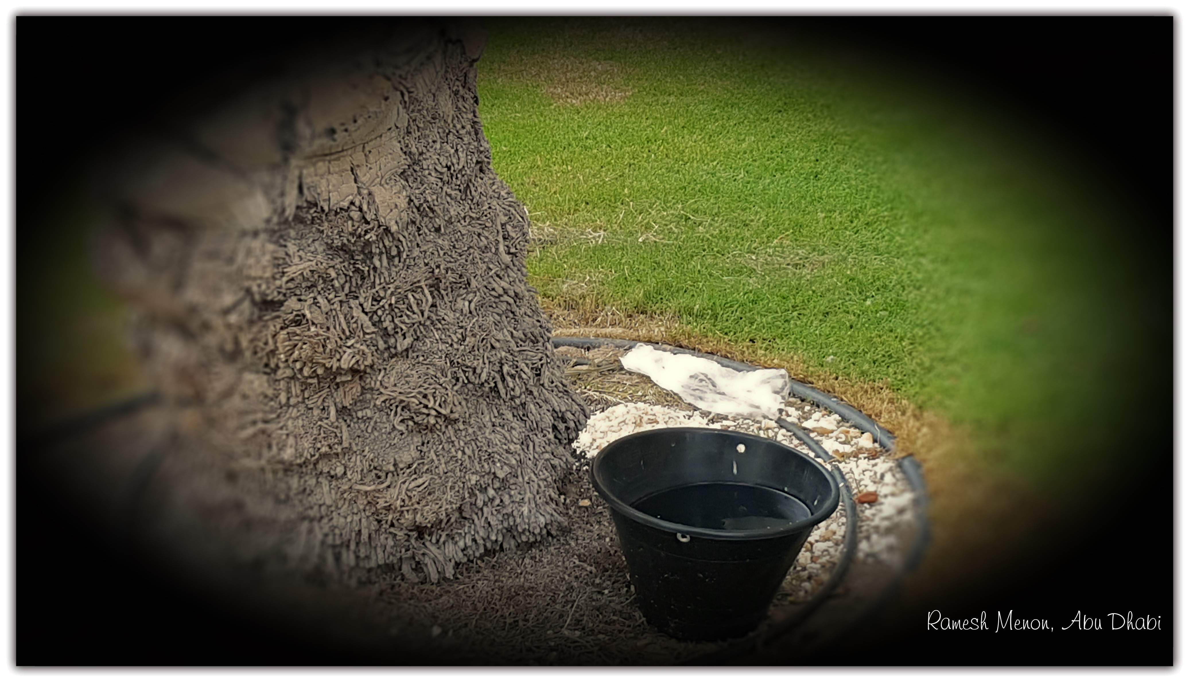 20180526_171337_InPixio