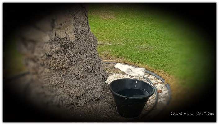 20180526_171337_InPixio