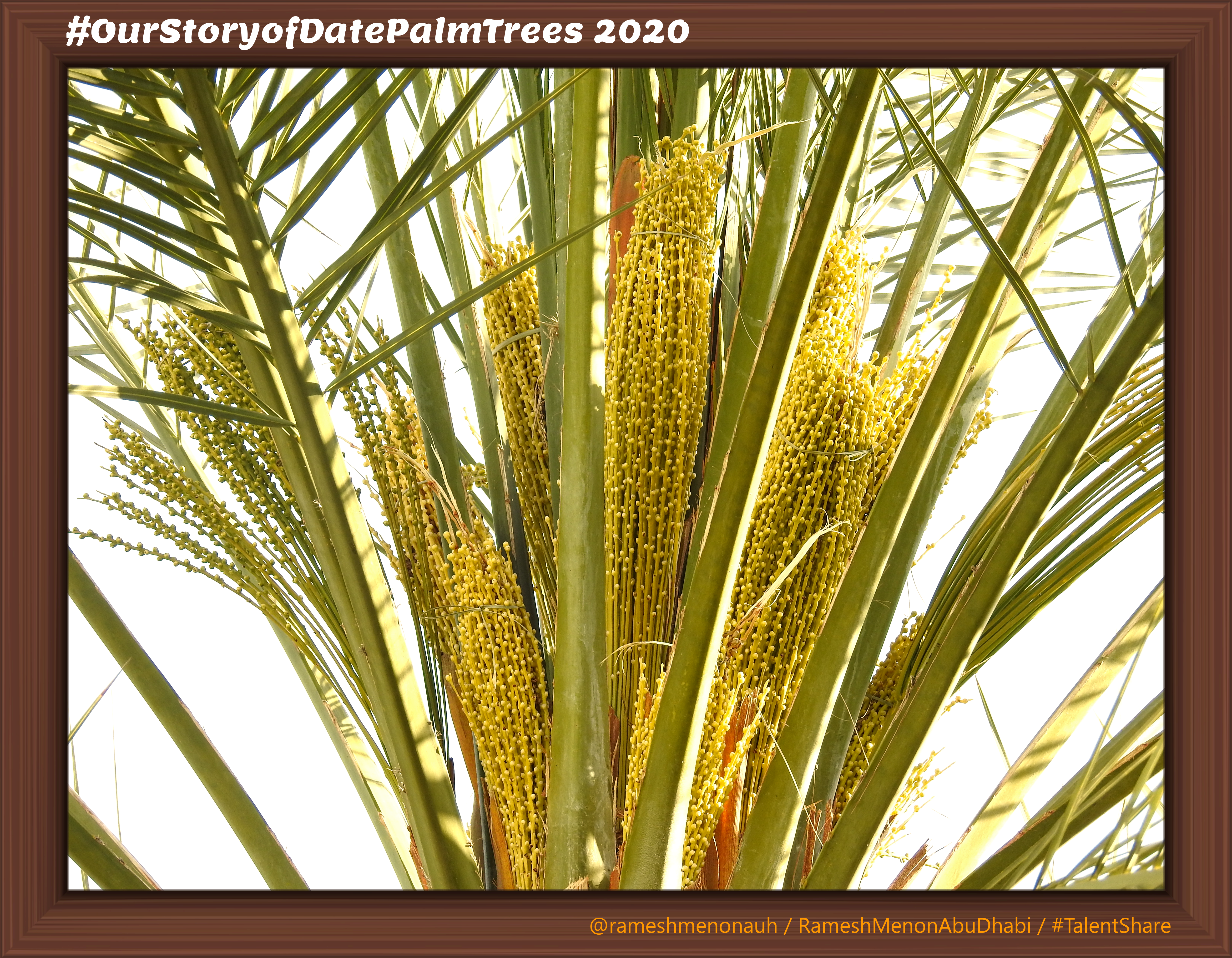 DSCN6437_InPixio_InPixio2_InPixio3-2-b