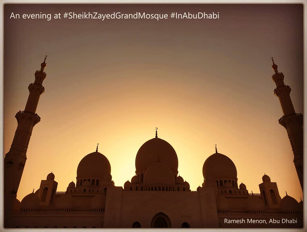 53052571_10156072839826088_6891695469370540032_o