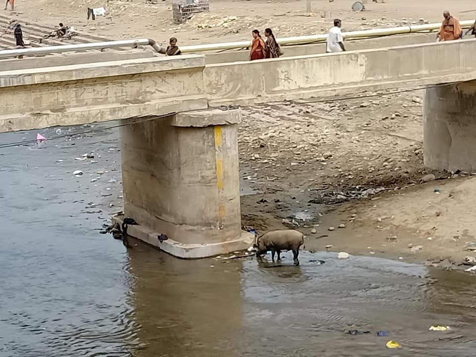 57504861_10156169756921088_7613971551079104512_n