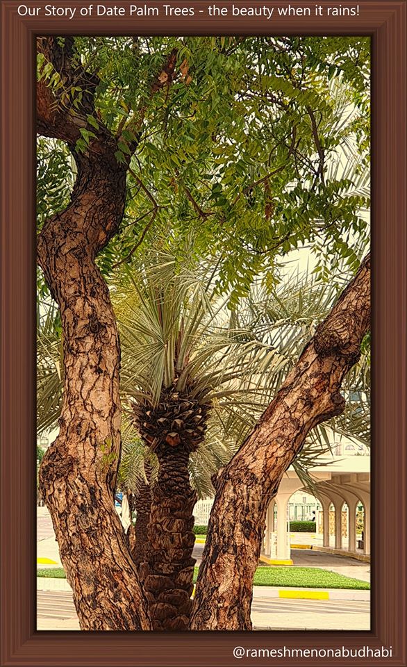 90063372_10156986153126088_3031941238153543680_o